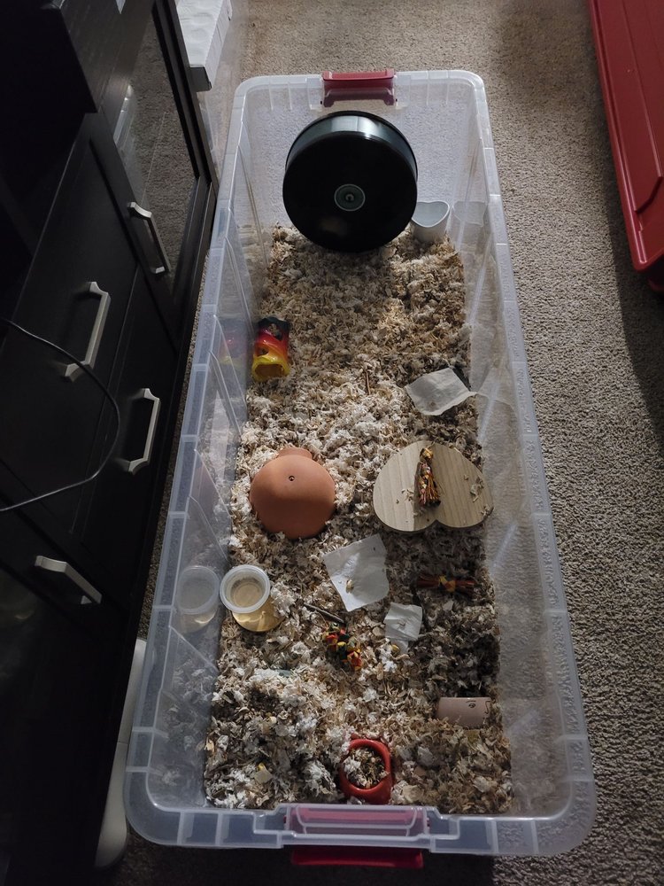 PET ZONE Updated August 2024 6555 Market Dr, Gloucester, Virginia