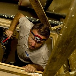 Tempco Pest Control - Great pest control begins with a thorough inspection!