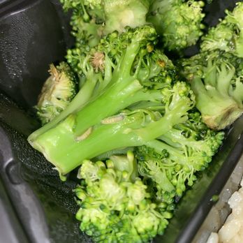 Cheddar's Scratch Kitchen - Bugs in my side of broccoli. - Southern Near Me - Tampa, Florida