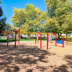 Bicentennial Park - Beautiful shade and large trees too!