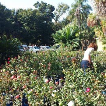Hardin's Nursery - Nurseries & Gardening Near Me - Tampa, Florida Hardin's Nursery - Nurseries & Gardening Near Me - Tampa, Florida