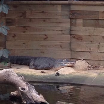 Biotropica - Zoos Near Me - Val De Reuil, 27