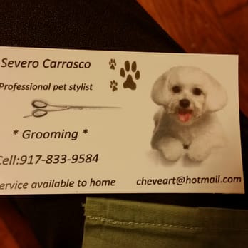 Severo. Dog Grooming - Business Card - Pet Groomers Near Me Severo. Dog Grooming - Business Card - Pet Groomers Near Me