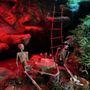 Smugglers Cove Adventure Golf