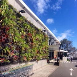 New World Remuera - Living wall outside the super