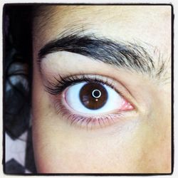 Lyn Ellis - lashes, brows & waxing - Lash Lift L-rod
