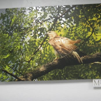 The Arsenal Gallery - Wildlife Photos - Landmarks & Historical Buildings Near Me - New York, New York