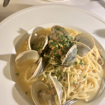 Providence Oyster Bar - Linguini & Littleneck Clams - Seafood Near Me - Providence, Rhode Island Providence Oyster Bar - Linguini & Littleneck Clams - Seafood Near Me - Providence, Rhode Island