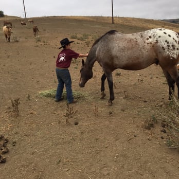 Heavens Ranch Norco - Horseback Riding Near Me - Norco, California