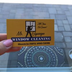 Mr. Squeegee Window Cleaning - The best of the best!