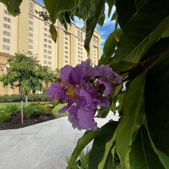 The Ritz-Carlton, Naples - Hotels Near Me - Naples, Florida The Ritz-Carlton, Naples - Hotels Near Me - Naples, Florida