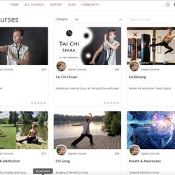 Eclectic Ground Martial Arts - Online Courses