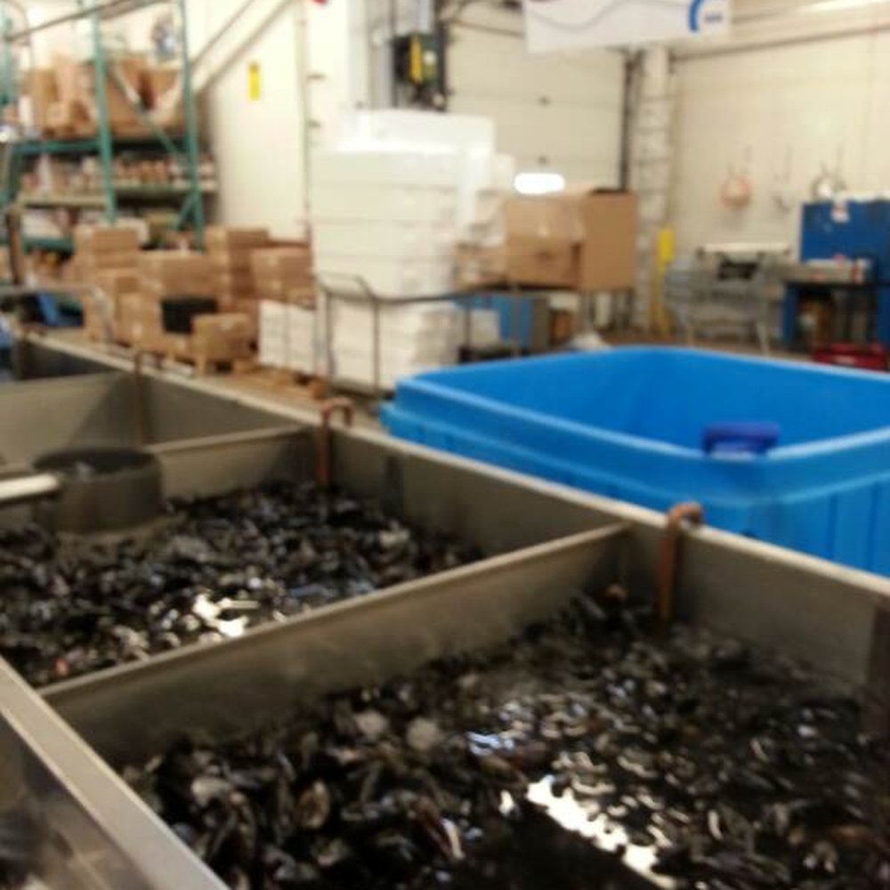 Seafood Depot - Seafood Markets Near Me - Vaughan, Ontario Seafood Depot - Seafood Markets Near Me - Vaughan, Ontario