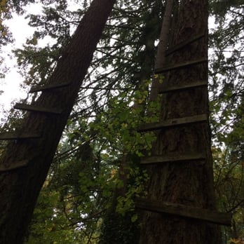 Palomino Park - Parks Near Me - West Linn, Oregon Palomino Park - Parks Near Me - West Linn, Oregon