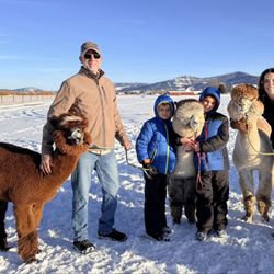 Alpacas of Montana