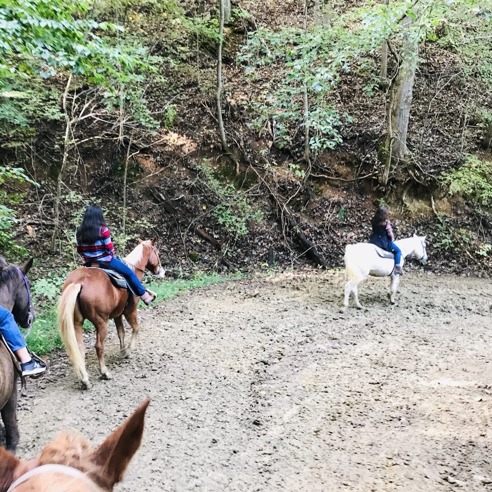 Five Oaks Riding Stables - Horseback Riding Near Me - Sevierville, Tennessee Five Oaks Riding Stables - Horseback Riding Near Me - Sevierville, Tennessee