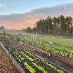 Tripping Gnome Farm