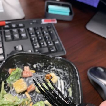 LongHorn Steakhouse - Live lady bug found crawling in my salad - Steakhouses Near Me - Houston, Texas LongHorn Steakhouse - Live lady bug found crawling in my salad - Steakhouses Near Me - Houston, Texas