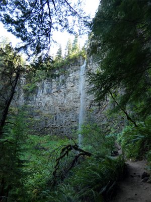 Watson Falls by null