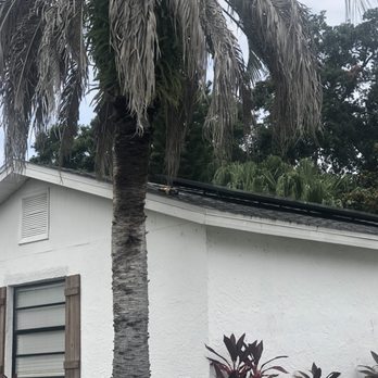 Bay Area Solar Solutions - Solar Installation Near Me - St. Petersburg, Florida Bay Area Solar Solutions - Solar Installation Near Me - St. Petersburg, Florida
