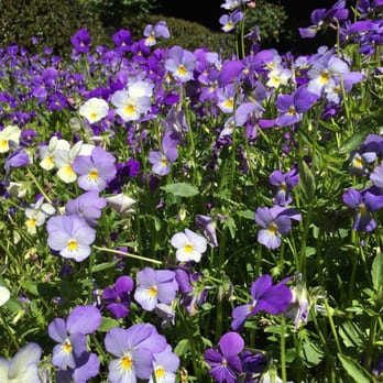 Filoli - Botanical Gardens Near Me - Woodside, California
