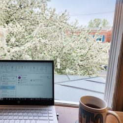 Stadler Nurseries - How's the view from your home office? Doesn't get much better than this!