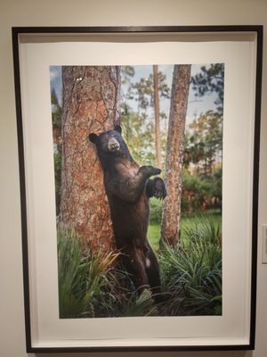 The Florida Museum of Photographic Arts by null