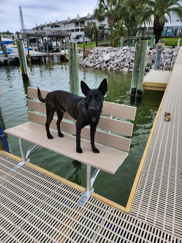 TOP TIER K9 Updated September 2024 2409 SW CR 360, Madison, Florida