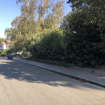 All Year Pressure Washing - Before - Pressure Washers Near Me