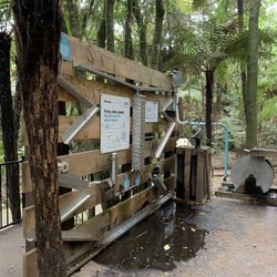 Rainbow Springs Nature Park