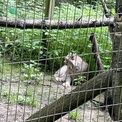 Claws 'N' Paws Animal Park