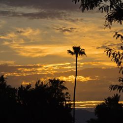 Sunrise from park