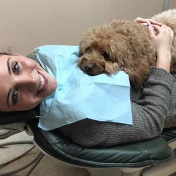 Tammy Perison, DDS - Buddy hard at work...Zzz - General Dentistry Near Me - West Seneca, New York