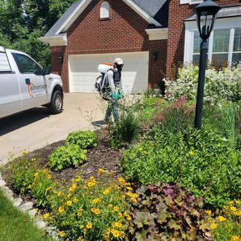 Advantage Mosquito Defense - Pest Control Near Me - Oshkosh, Wisconsin Advantage Mosquito Defense - Pest Control Near Me - Oshkosh, Wisconsin