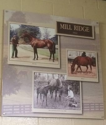 Mill Ridge Farm by null