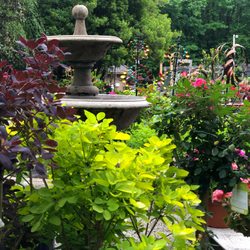 Dearness Gardens