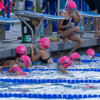 Paseo Aquatics Swim Team - Swimming Lessons/Schools Near Me Paseo Aquatics Swim Team - Swimming Lessons/Schools Near Me