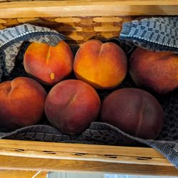 Sosio's Fruit & Produce - Some of the peaches, ripening to perfection.