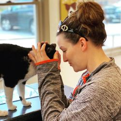 Acton Animal Hospital