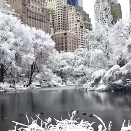 Central Park Central Park