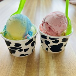 Dillards Farms & Ice Cream Parlor - Kiddie cups