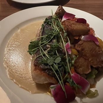 Corinne - Kampachi filet - American Near Me - San Antonio, Texas