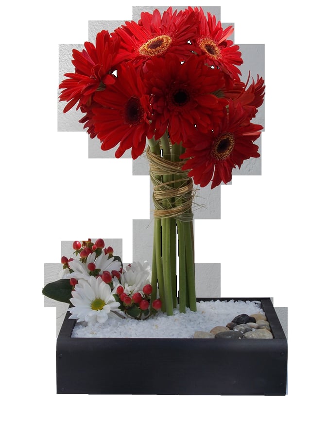 Mil Flores Floristería