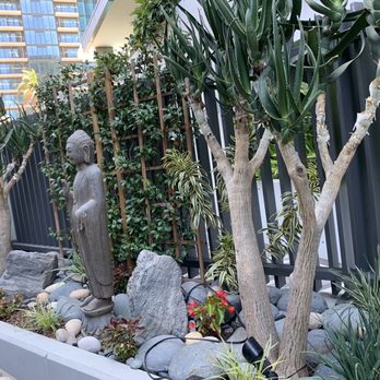 Botanika Interior Plantscapes - Patio garden - Indoor Landscaping Near Me Botanika Interior Plantscapes - Patio garden - Indoor Landscaping Near Me