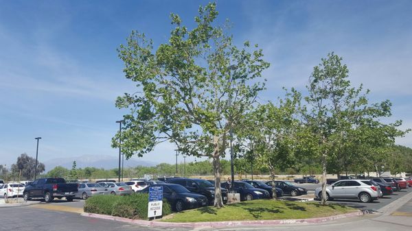 SAN BERNARDINO COUNTY HALL OF RECORDS - Updated July 2025 - 61 Photos ...