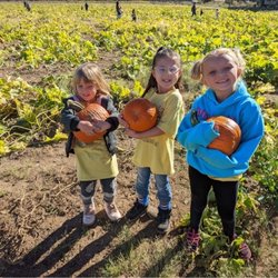 Historic Hawes Farms