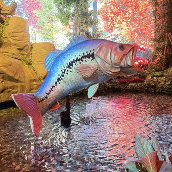 Bellagio - Bass in the flower garden exhibit - Hotels Near Me - Las Vegas, Nevada