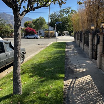 D Landscape & Hardscape - Landscaping Near Me