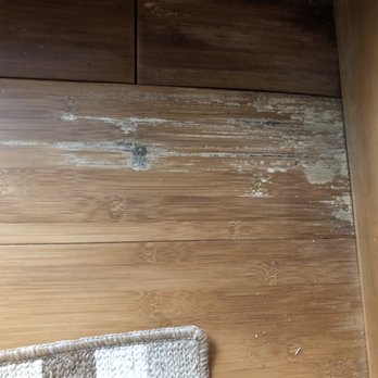 Tumbleweed Tiny House - Ruined bambo floors - RV Dealers Near Me - Colorado Springs, Colorado