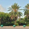 University of South Florida gift card
